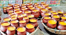 দক্ষিণের গর্ব গৌরনদীর দই