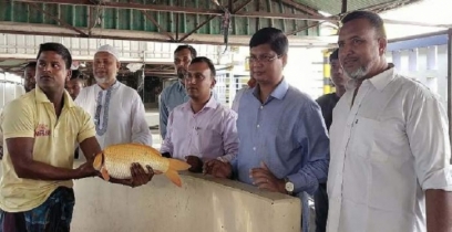 কাহালুর বিবিরপুকুর শাহসুলতান শাহজালাল মৎস্য বীজাগার পরিদর্শণ