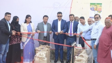 বগুড়ায় ধান ও চাল সংগ্রহ কার্যক্রমের উদ্বোধন