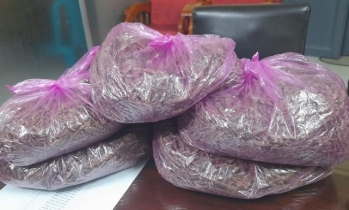 সান্তাহারে ট্রেন থেকে পরিত্যাক্ত অবস্থায় গাঁজা উদ্ধার