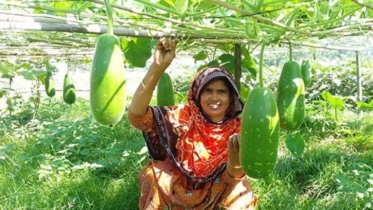 আয়মূলক কর্মকান্ডে পাল্টে যাচ্ছে চরের মানুষের জীবনমান
