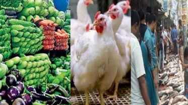 বাজারে শীতের সবজি, স্বস্তি ব্রয়লারে