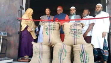 বগুড়ার শিবগঞ্জে সরকারি খাদ্য গুদামে আমন ধান সংগ্রহের শুভ উদ্বোধন