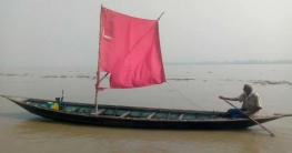 পালতোলা নৌকার দেখা মিলে সারিয়াকান্দির যমুনায়