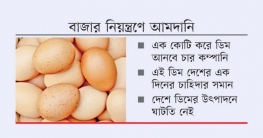 পাঁচ শর্তে আসছে চার কোটি ডিম