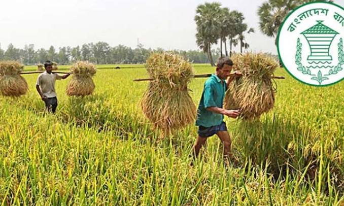 কৃষিঋণ আদায় বেড়েছে সাড়ে ৫ হাজার কোটি টাকা কৃষিঋণ আদায় বেড়েছে সাড়ে ৫ হাজার কোটি টাকা