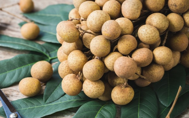 কাঠলিচু দারুণ সুস্বাদু ফল, উপকারিতাও অনেক কাঠলিচু দারুণ সুস্বাদু ফল, উপকারিতাও অনেক