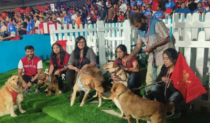 কুকুরদের খেলা দেখার জন্য ব্যাঙ্গালুরুর ‘ডগ আউট’ কুকুরদের খেলা দেখার জন্য ব্যাঙ্গালুরুর ‘ডগ আউট’