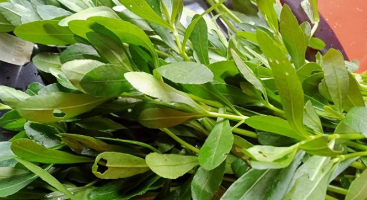 হেচি শাক রোগ প্রতিরোধ ক্ষমতা বাড়ায় হেচি শাক রোগ প্রতিরোধ ক্ষমতা বাড়ায়