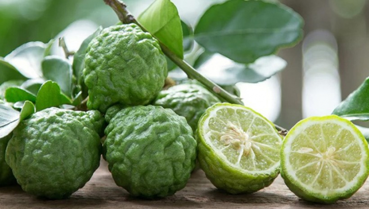 কাফির লেবুর অনেক গুণ কাফির লেবুর অনেক গুণ