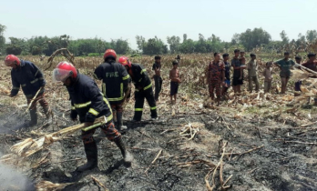 বগুড়ায় আগুনে পুড়লো পঁচিশ বিঘা জমির ভুট্টা,পাশে দাঁড়ালেন ইউএনও