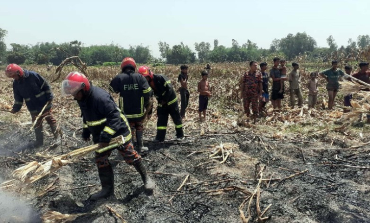 বগুড়ায় আগুনে পুড়লো পঁচিশ বিঘা জমির ভুট্টা,পাশে দাঁড়ালেন ইউএনও বগুড়ায় আগুনে পুড়লো পঁচিশ বিঘা জমির ভুট্টা,পাশে দাঁড়ালেন ইউএনও