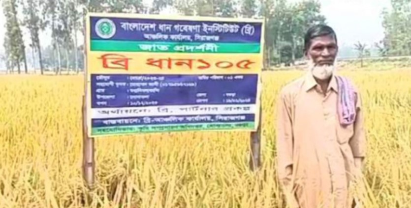 সোনাতলায় নতুন উদ্ভাবিত ডায়াবেটিক ধান চাষে ব্যপক সাড়া ফেলেছে কৃষক সোনাতলায় নতুন উদ্ভাবিত ডায়াবেটিক ধান চাষে ব্যপক সাড়া ফেলেছে কৃষক