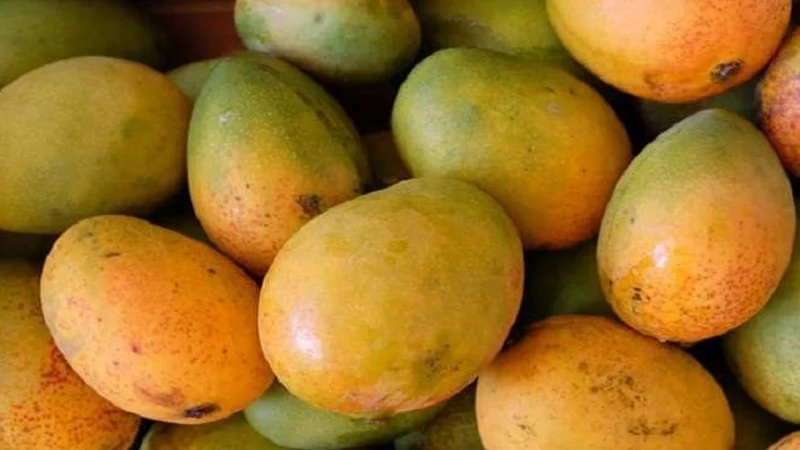 কখন আম খাওয়া ঠিক নয়
