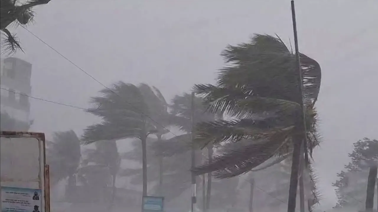 সন্ধ্যার মধ্যে যেসব জেলায় হতে পারে ঝড়-বৃষ্টি 