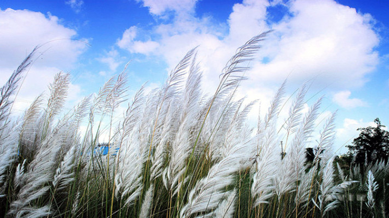 শরতের প্রথম দিন আজ