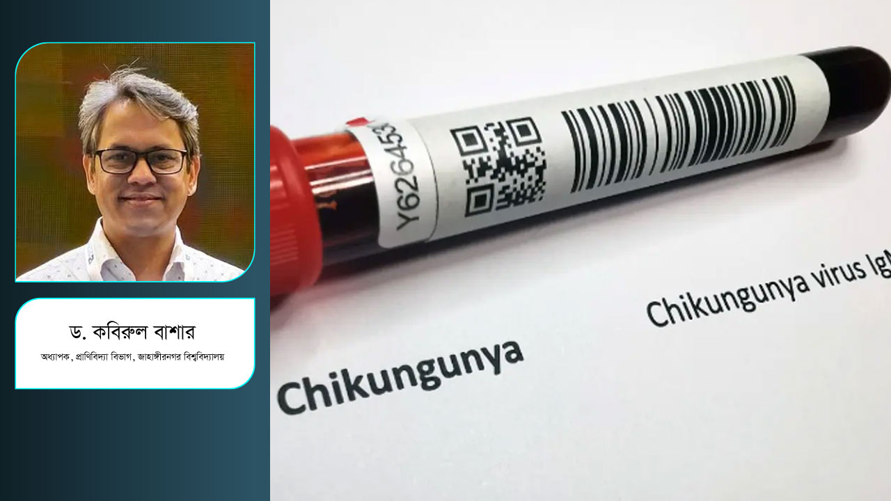 চিকুনগুনিয়ার সংক্রমণ বাড়ছে কেন?