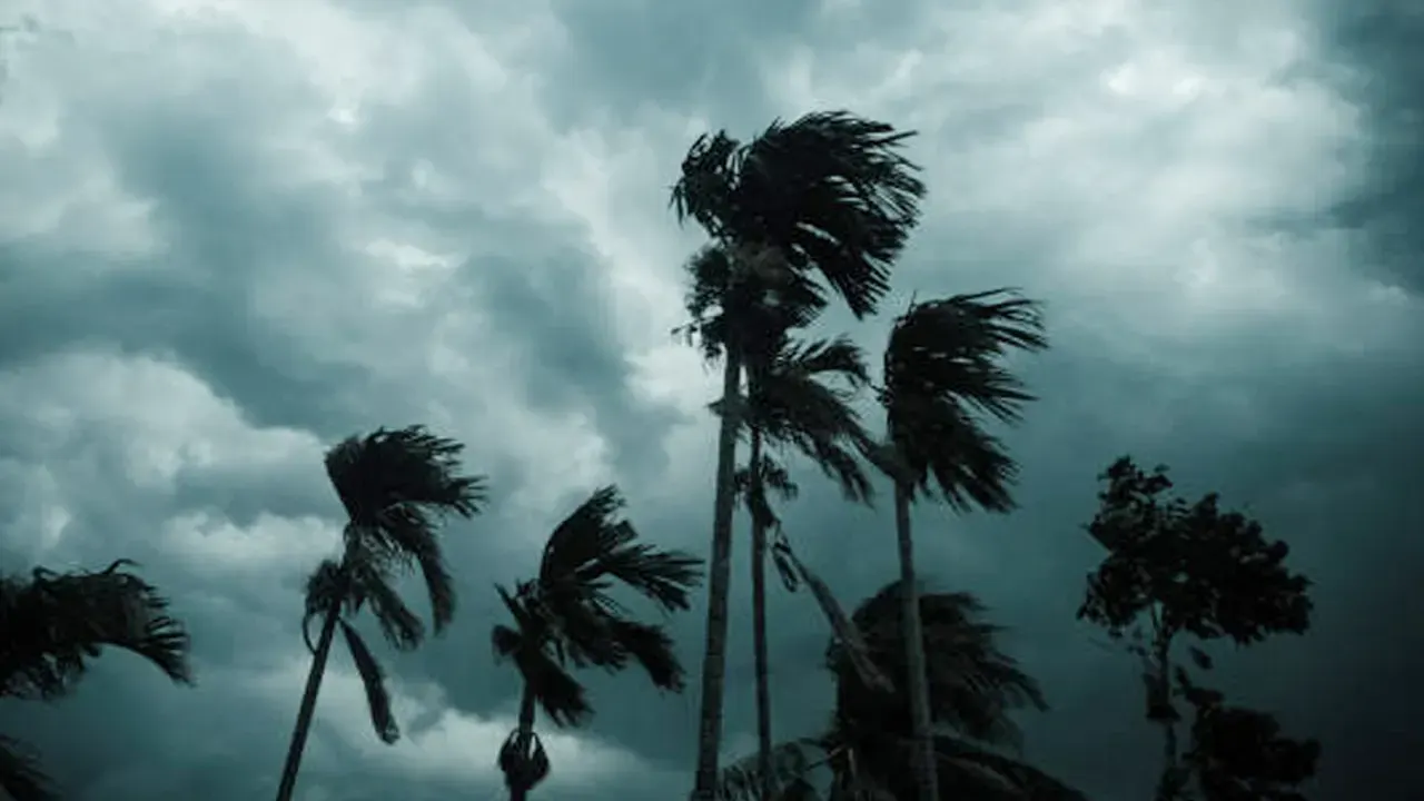 দুপুরের মধ্যে যেসব জেলায় হতে পারে বজ্রবৃষ্টি