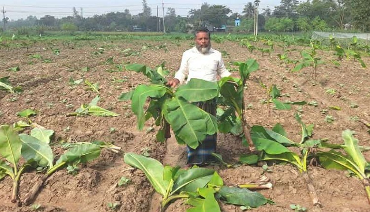 বগুড়ায় ইয়াবাসহ এক নারী মাদক ব্যবসায়ী গ্রেফতার