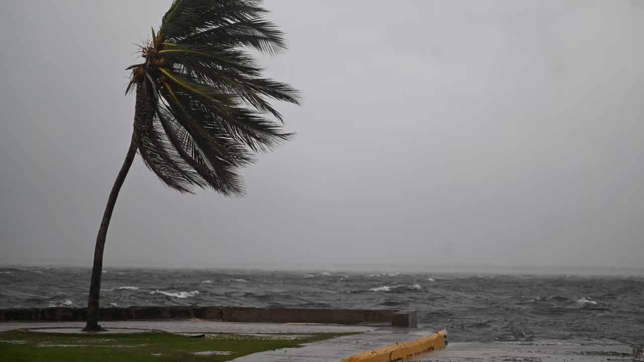 জ্যামাইকায় আঘাত হানতে চলেছে মেলিসা, ধেয়ে আসছে ২৮২ কিমি বেগে