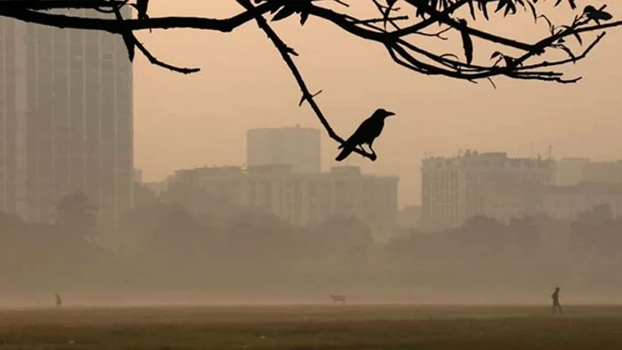 উত্তরাঞ্চলের পর ঢাকায় শীতের প্রবেশ