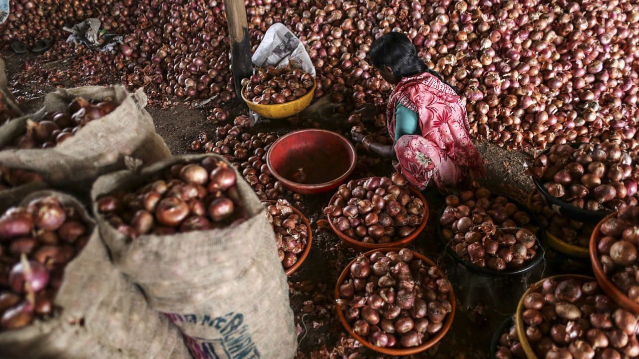 পেঁয়াজের দামে দেশে ক্রেতার চোখে পানি, ভারতে কাঁদছে বিক্রেতা পেঁয়াজের দামে দেশে ক্রেতার চোখে পানি, ভারতে কাঁদছে বিক্রেতা