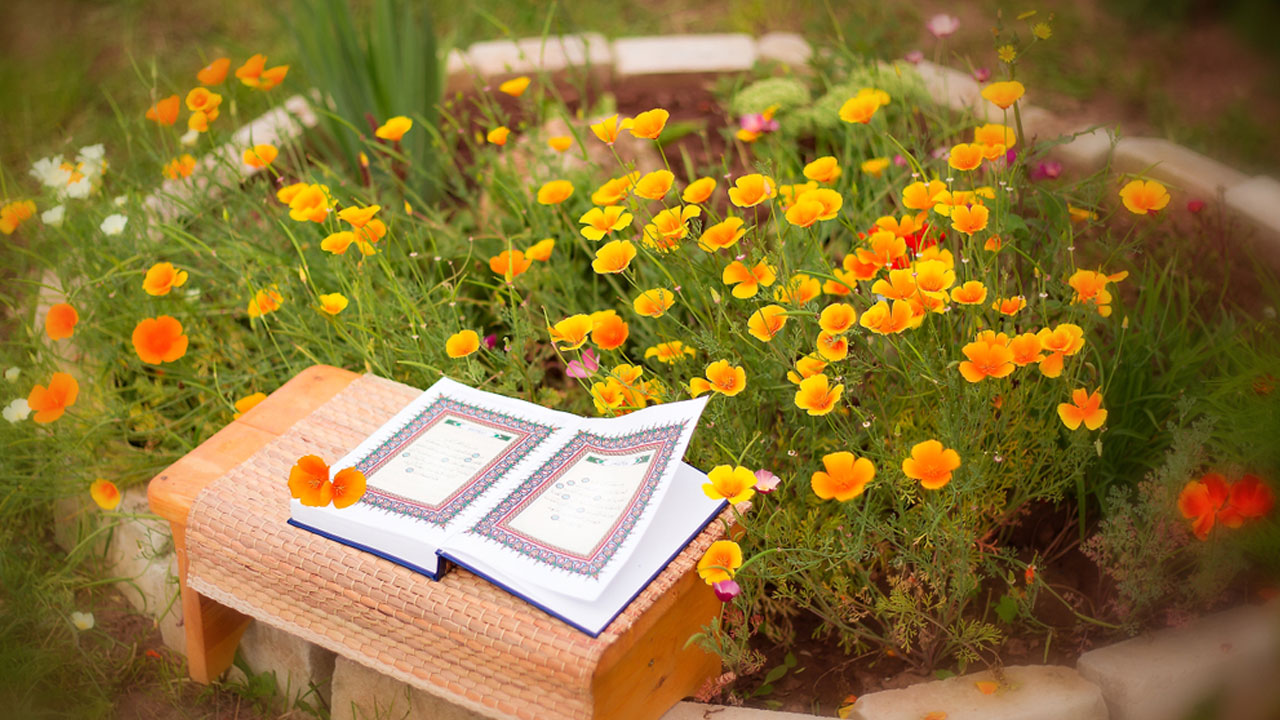 জান্নাতে নবী-রাসুলদের সঙ্গে সাক্ষাতের সুযোগ পাবেন যারা