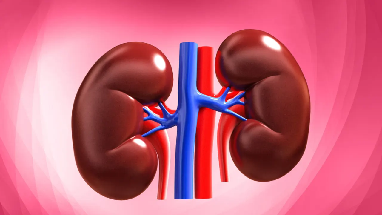 শরীরে নীরব ঘাতক ক্রনিক কিডনি ডিজিজ, জেনে নিন ৮ লক্ষণ