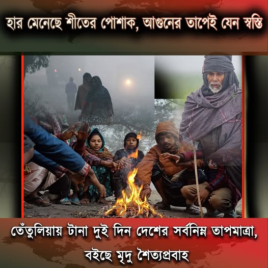 হার মেনেছে শীতের পোশাক, আগুনের তাপেই যেন স্বস্তি