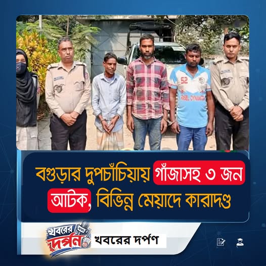 বগুড়ার দুপচাঁচিয়ায় গাঁজাসহ ৩ জন আটক, বিভিন্ন মেয়াদে কারাদণ্ড