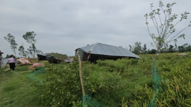 কালবৈশাখীর তাণ্ডবে লণ্ডভণ্ড গাইবান্ধা, আশ্রয়হীন শতাধিক পরিবার
