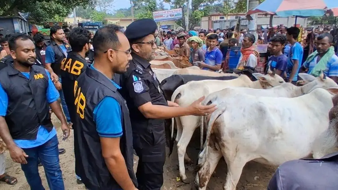 শেষ মুহূর্তে প্রাণ ফিরেছে চাঁপাইনবাবগঞ্জের পশুর হাটে, নজর মাঝারি গরুতে