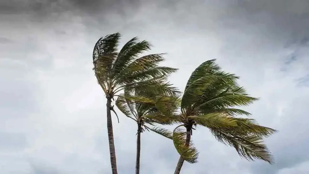 চট্টগ্রাম-কক্সবাজারে ঝড়বৃষ্টির আশঙ্কা, নদীবন্দরে সতর্ক সংকেত